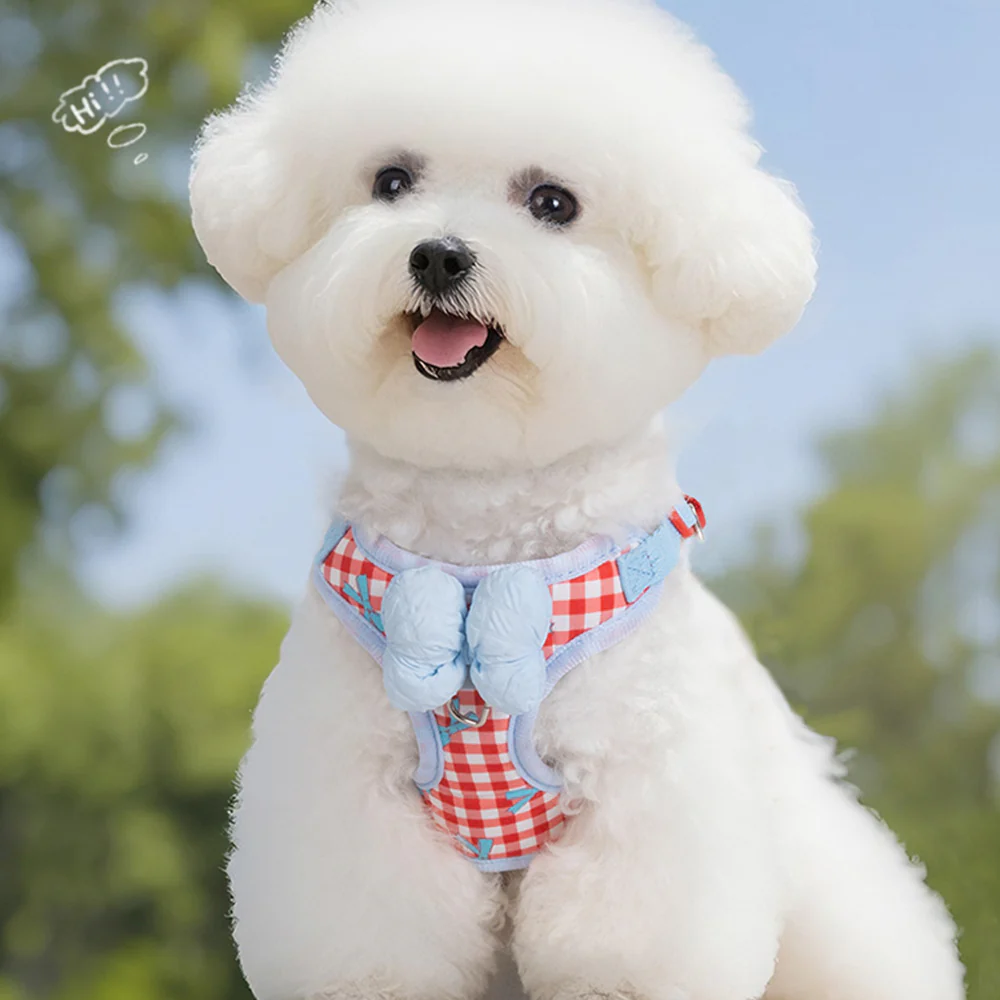 Dog & Cat Harness & Leash Set | Lightweight Check Pattern - Image 12
