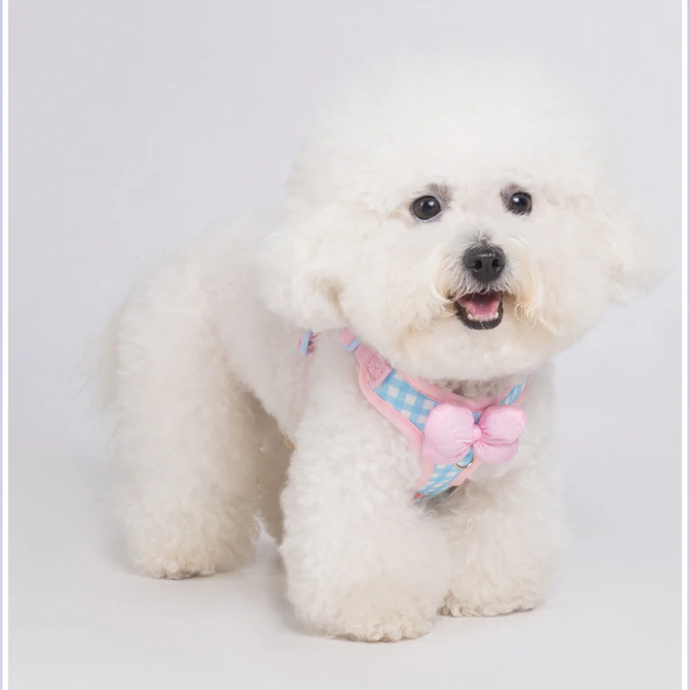 Dog & Cat Harness & Leash Set | Lightweight Check Pattern - Image 15