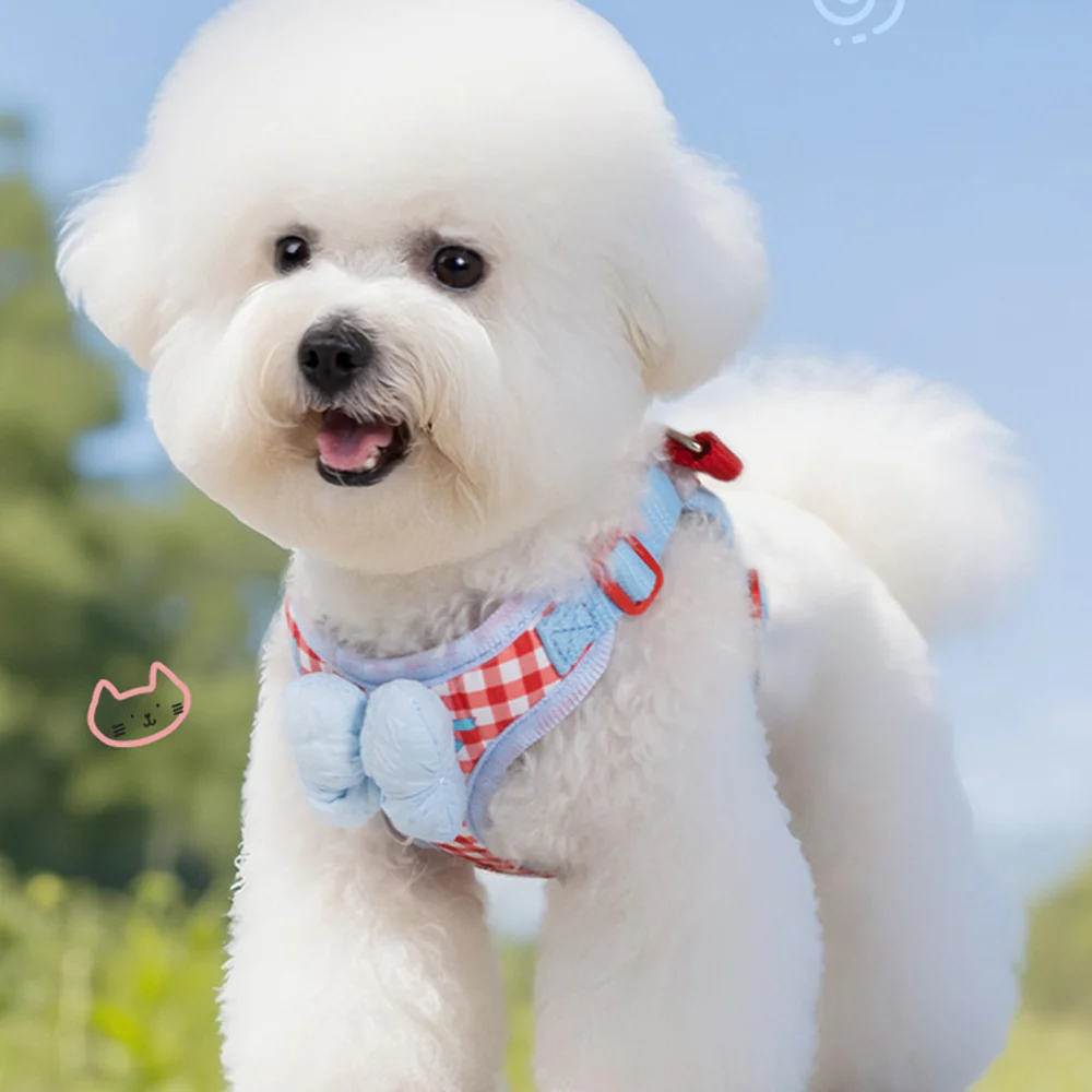 Dog & Cat Harness & Leash Set | Lightweight Check Pattern - Image 9