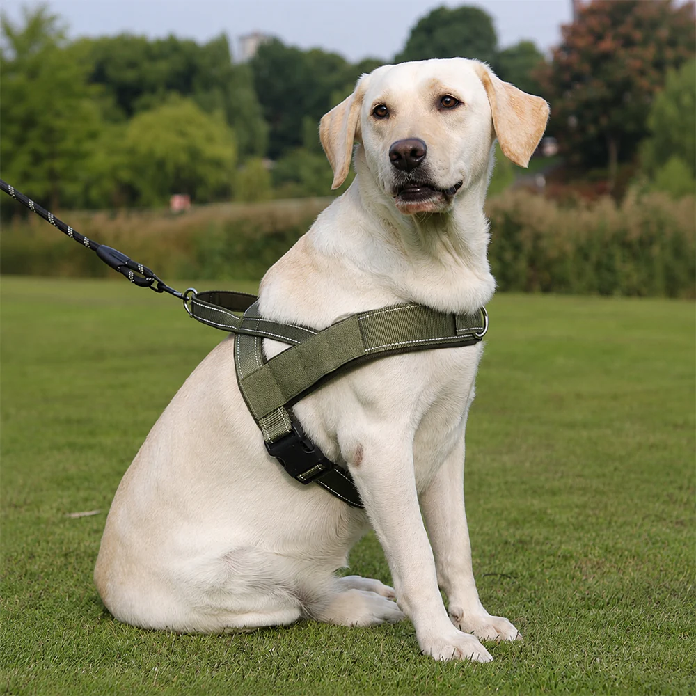Dog Harness No Pull Heavy Duty Tactical Adjustable - Image 12