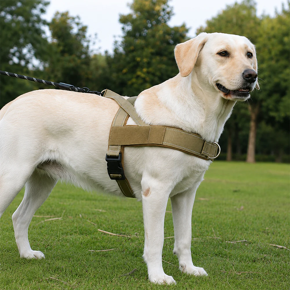 Dog Harness No Pull Heavy Duty Tactical Adjustable - Image 13