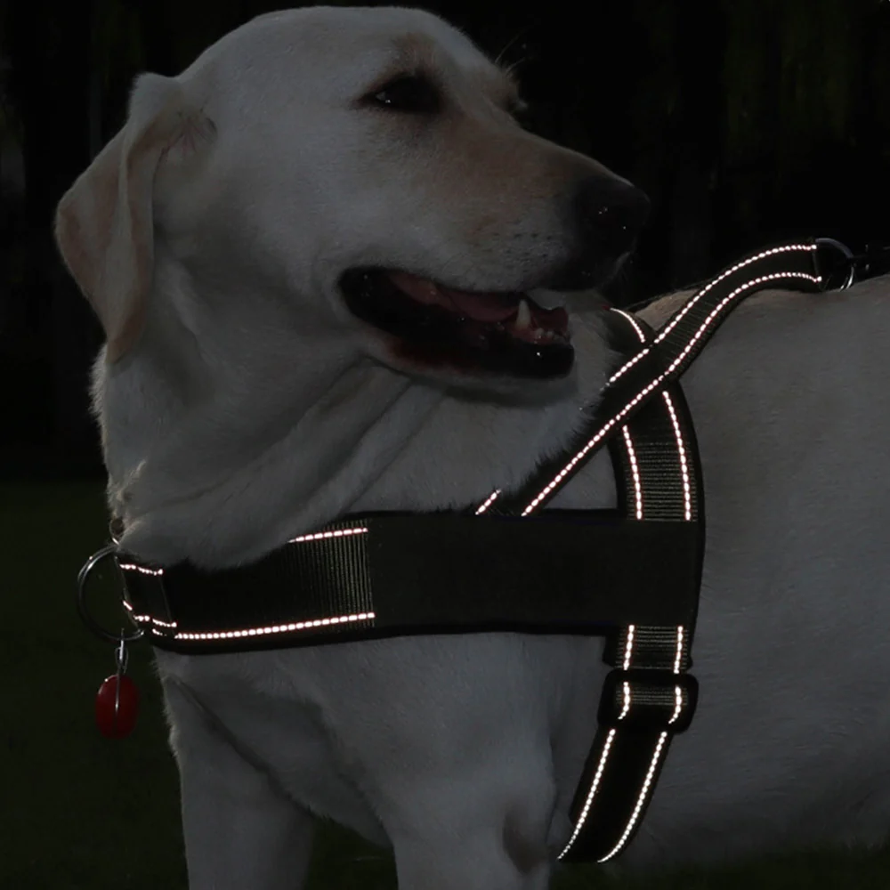 Dog Harness No Pull Heavy Duty Tactical Adjustable - Image 14