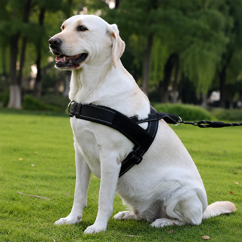 Dog Harness No Pull Heavy Duty Tactical Adjustable - Image 3