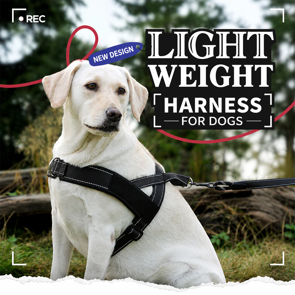 Dog Harness No Pull Heavy Duty Tactical Adjustable - Image 4