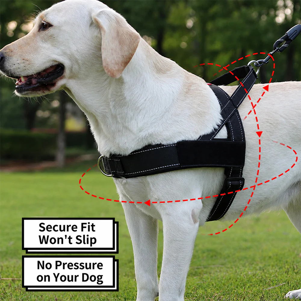 Dog Harness No Pull Heavy Duty Tactical Adjustable - Image 5
