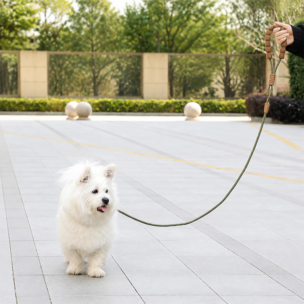 Dog Slip Lead Training Leash Heavy Duty - Image 10