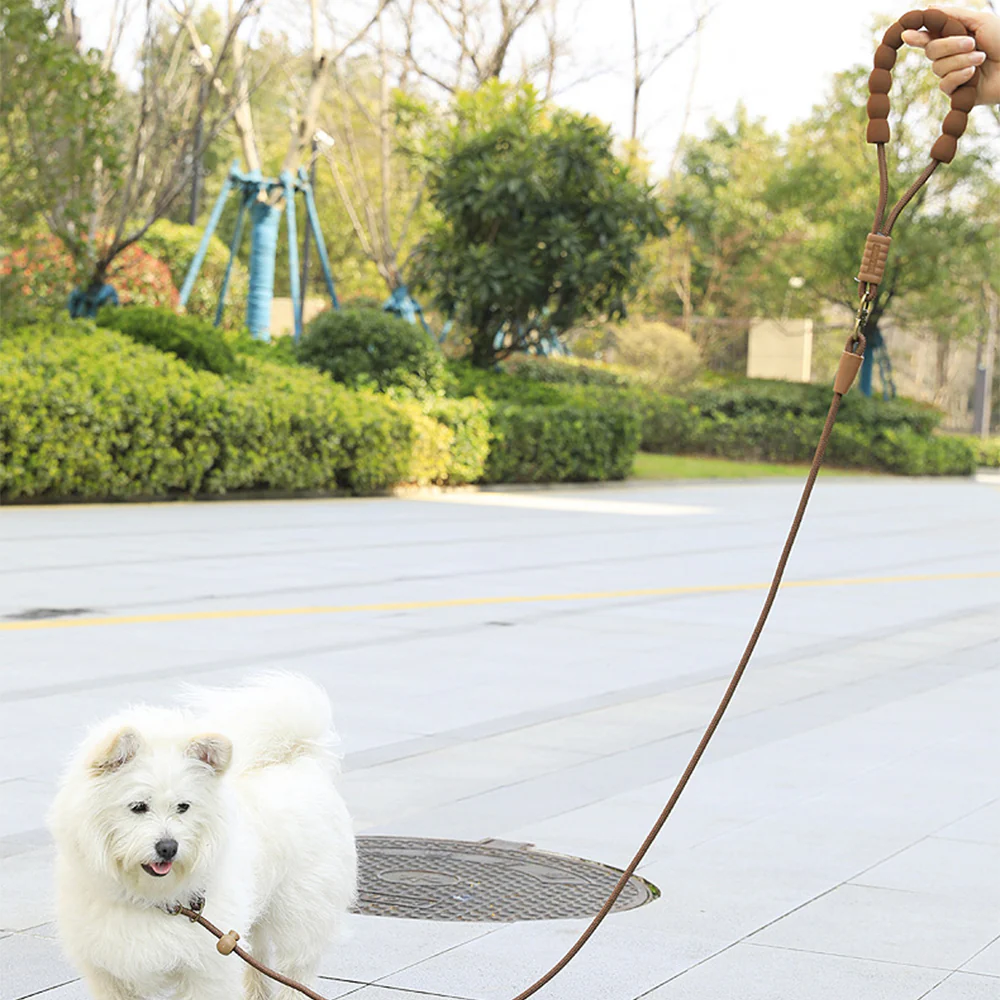 Dog Slip Lead Training Leash Heavy Duty - Image 11