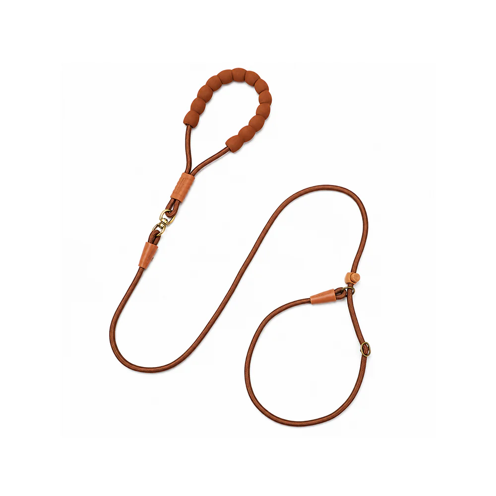 Dog Slip Lead Training Leash Heavy Duty - Image 13