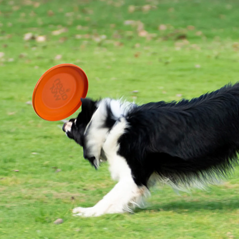 Durable Dog Flying Disc – Chew-Resistant Fetch Toy 18cm - Image 14