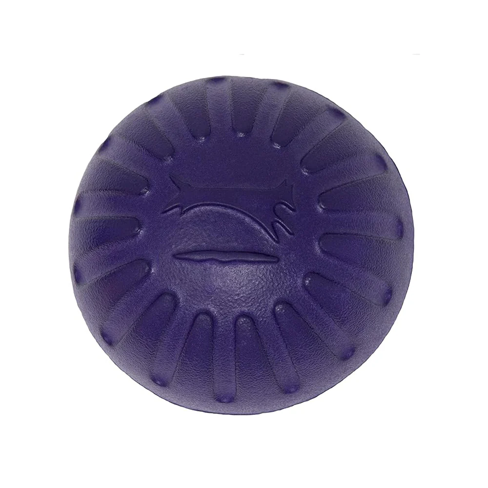 Durable Food Dispensing Squeaky Dog Chew Toy - Image 4