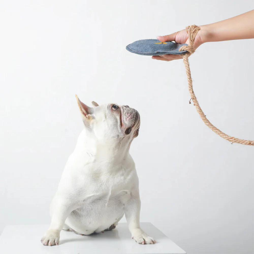 Durable Leather Dog Training Frisbee Interactive Toy - Image 4
