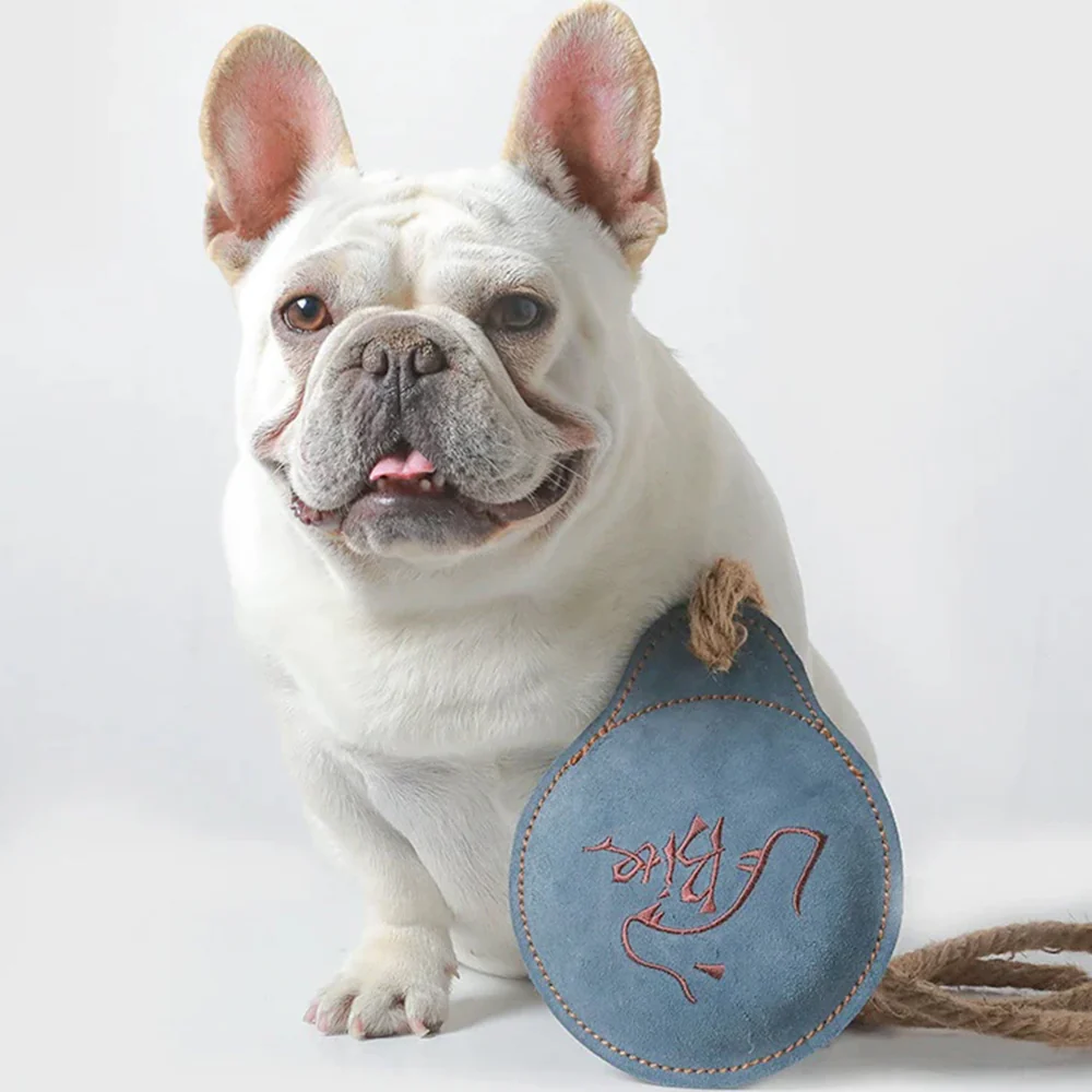 Durable Leather Dog Training Frisbee Interactive Toy - Image 5