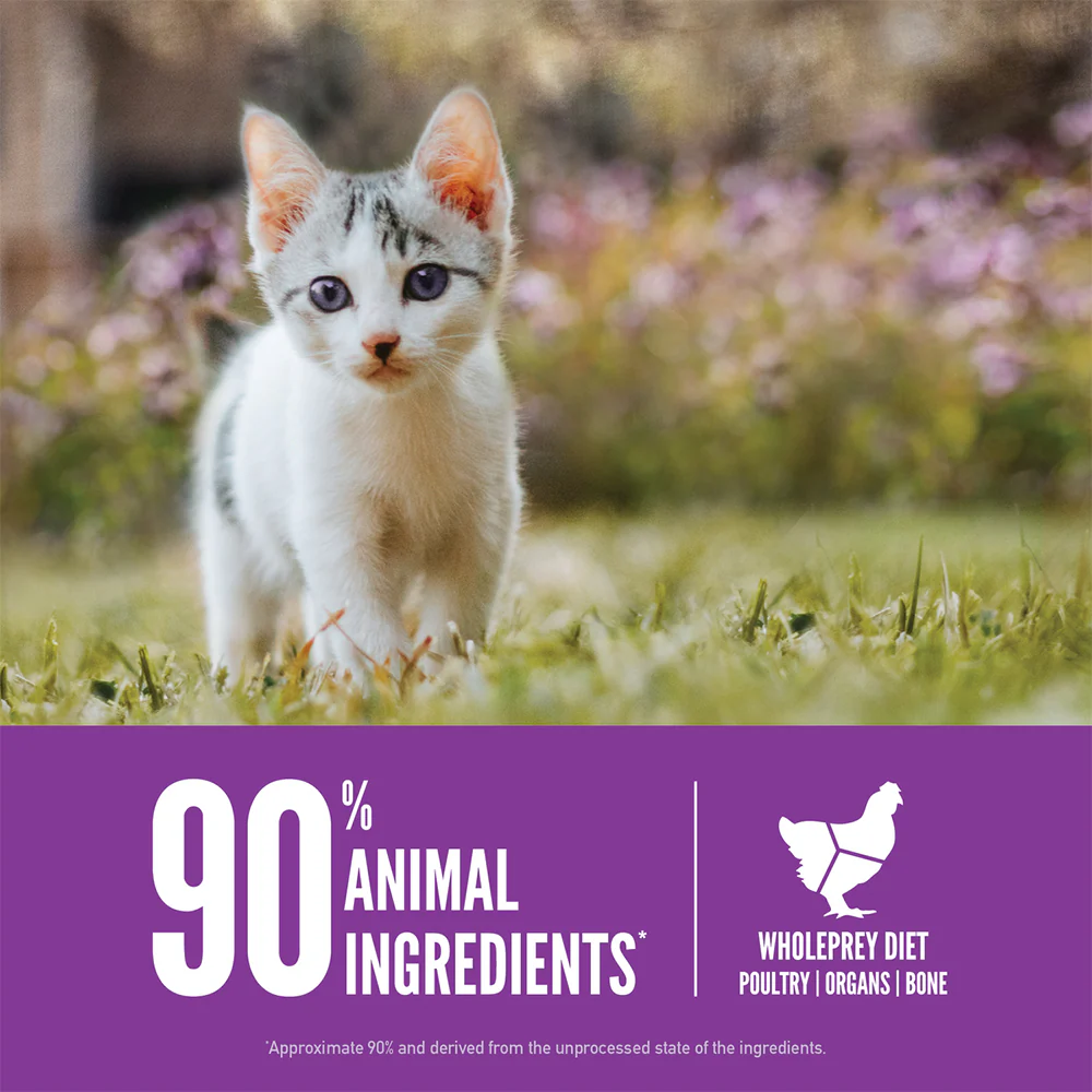 ORIJEN Kitten Biologically Appropriate Dry Cat Food - Image 5