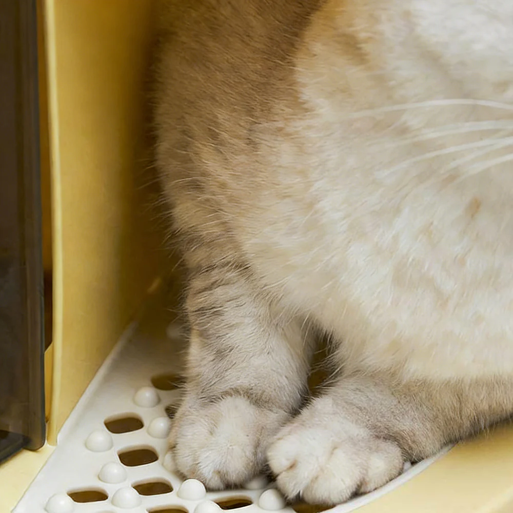 Extra Large Front Entry Cat Litter Box – Anti-Tracking Corridor Design 55x40x40cm - Image 10