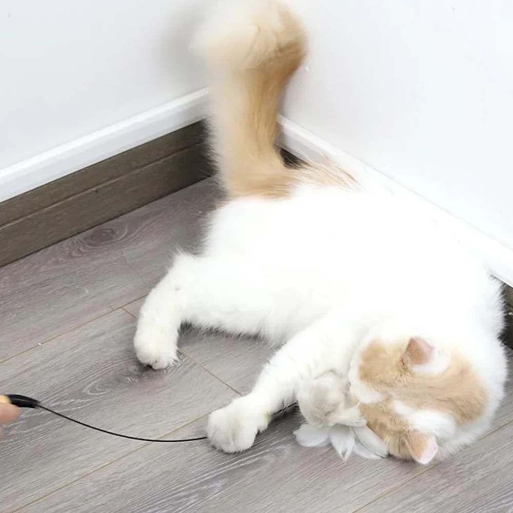 Feathered Wooden Pole Spring Stick Cat Teaser - Image 4