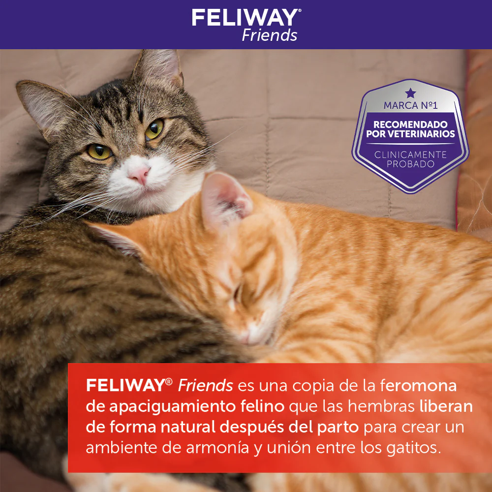 FELIWAY Friends Cat Diffuser Refill 48ml - Image 5