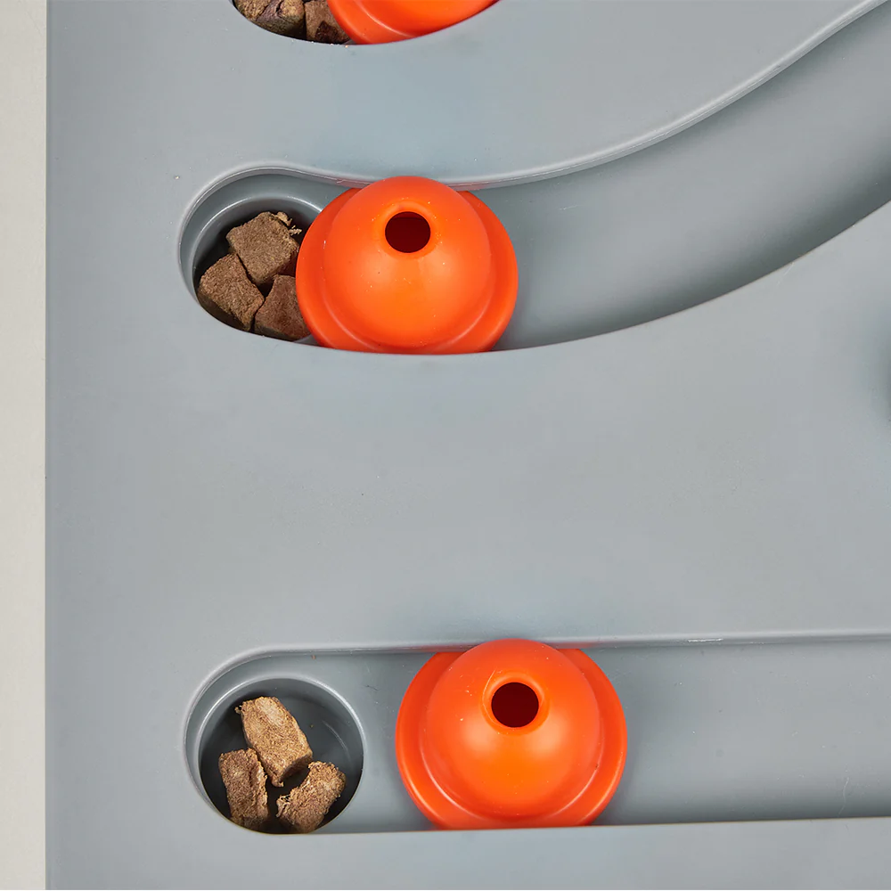 FOFOS Brain Game Treat Puzzle Dog Toy - Image 3