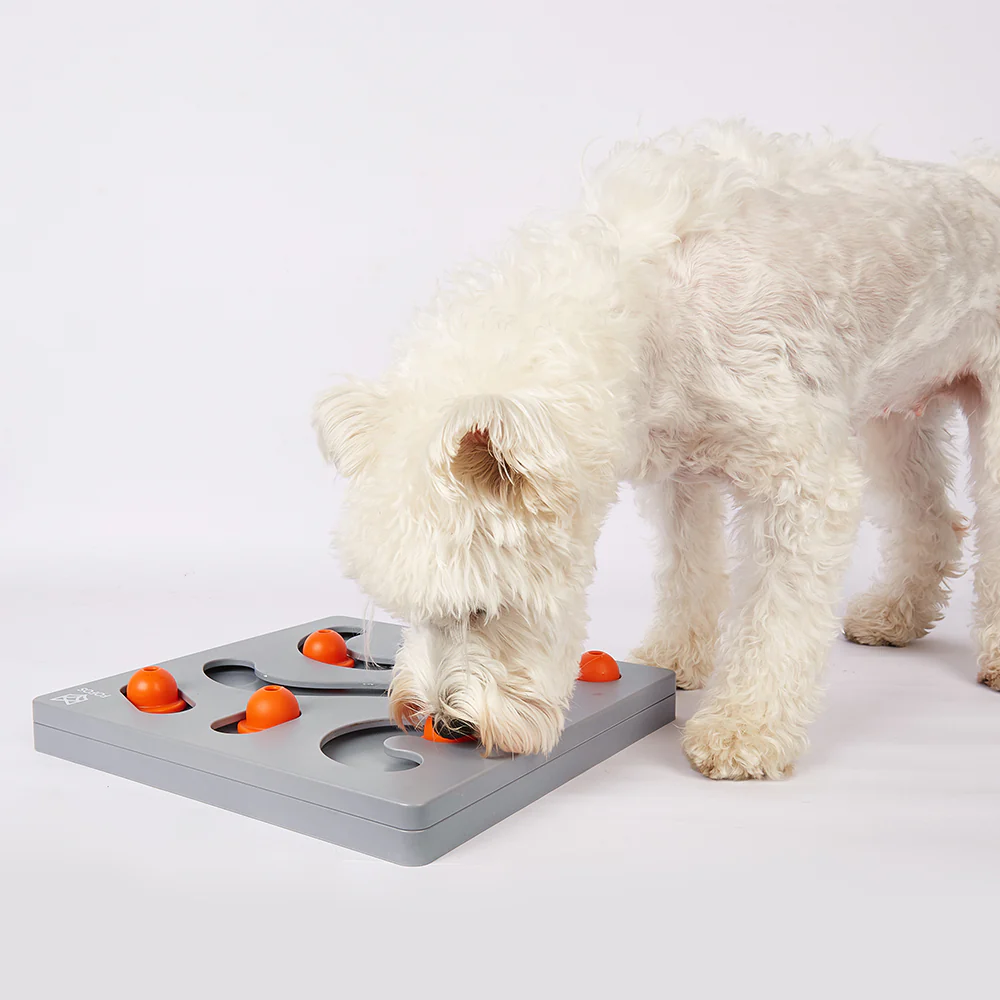 FOFOS Brain Game Treat Puzzle Dog Toy - Image 4