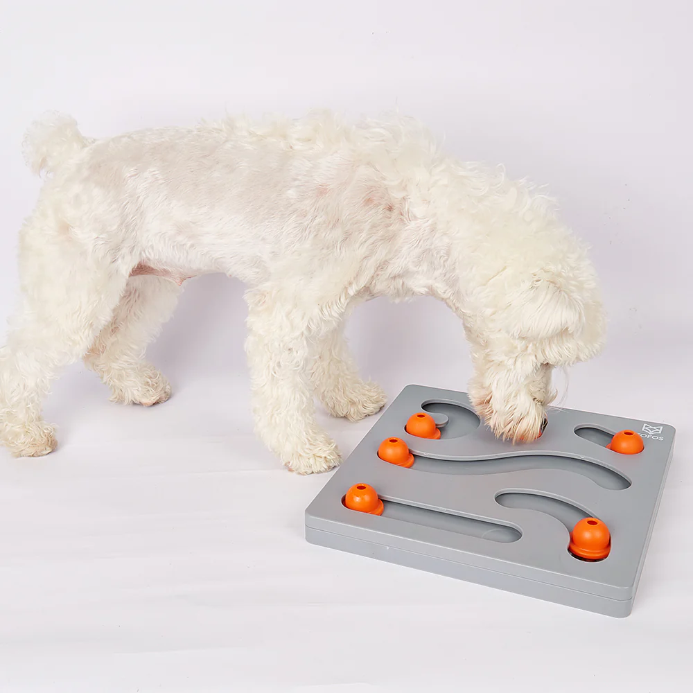 FOFOS Brain Game Treat Puzzle Dog Toy - Image 5
