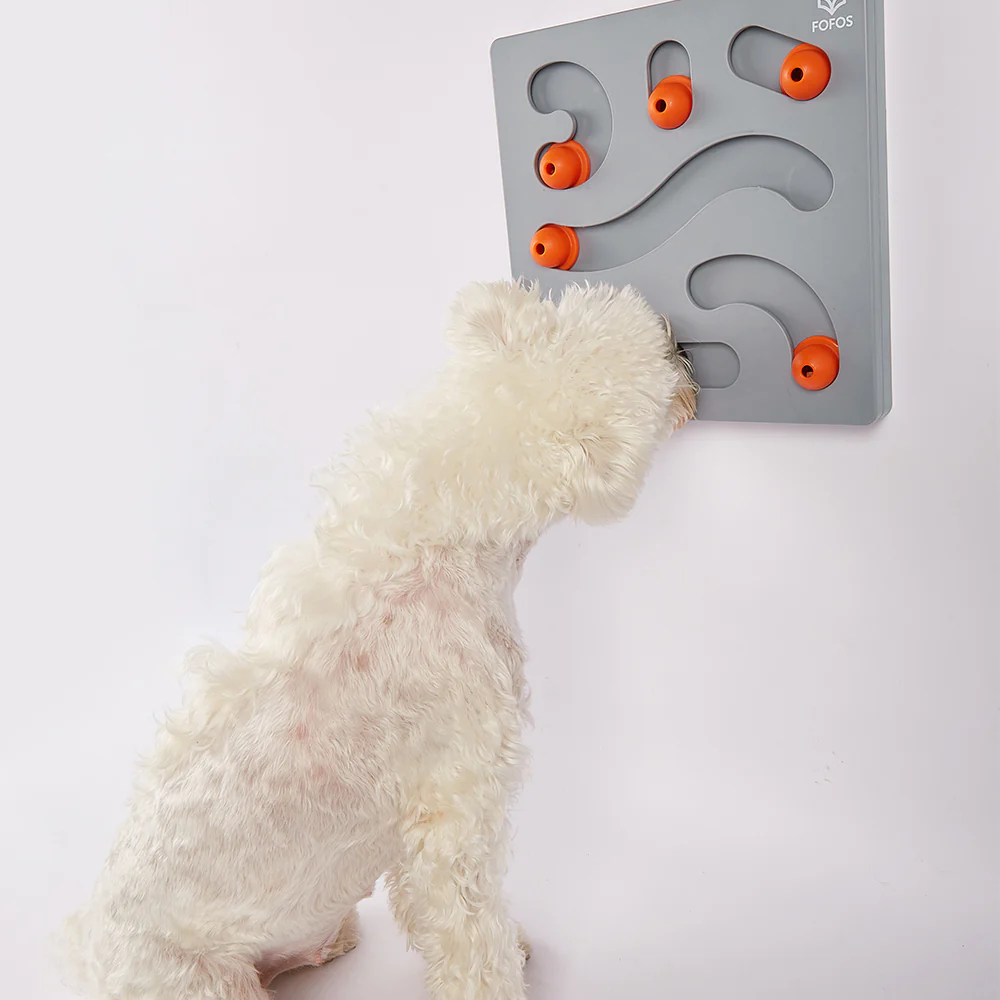 FOFOS Brain Game Treat Puzzle Dog Toy - Image 6