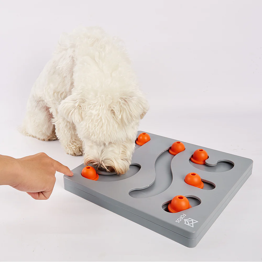 FOFOS Brain Game Treat Puzzle Dog Toy - Image 7