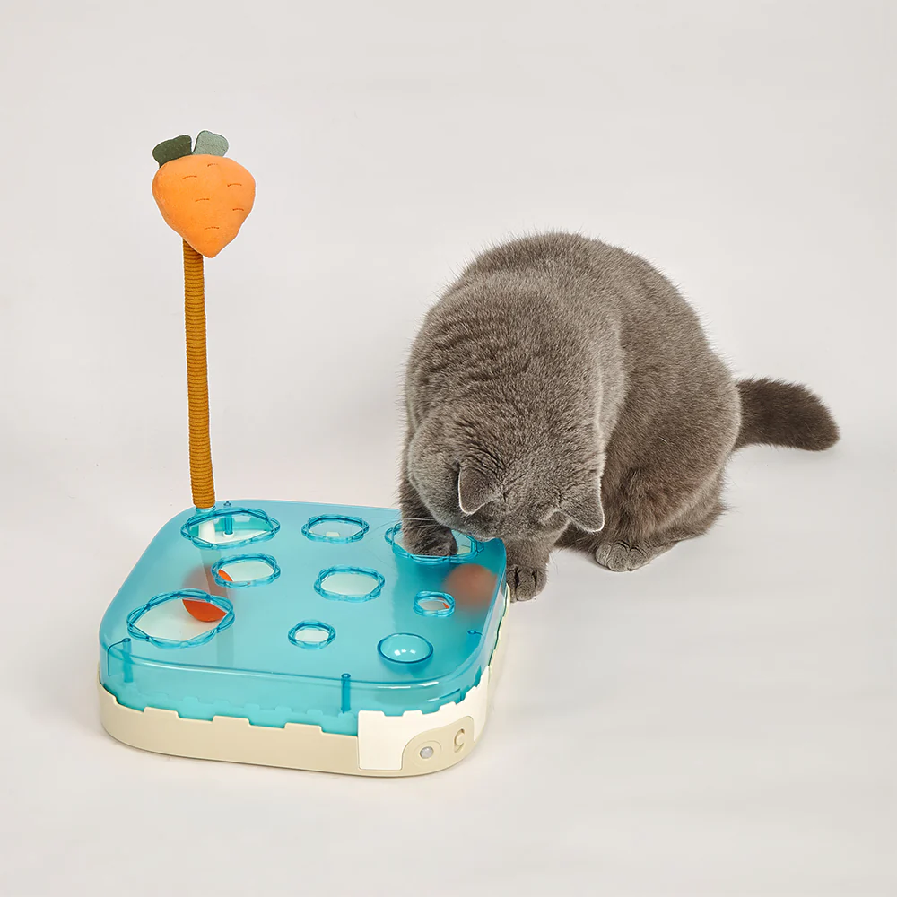 FOFOS Carrot Wand Interactive Ball Box Cat Toy - Image 3