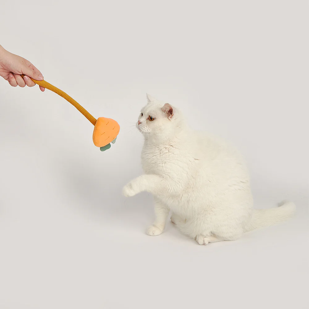 FOFOS Carrot Wand Interactive Ball Box Cat Toy - Image 5