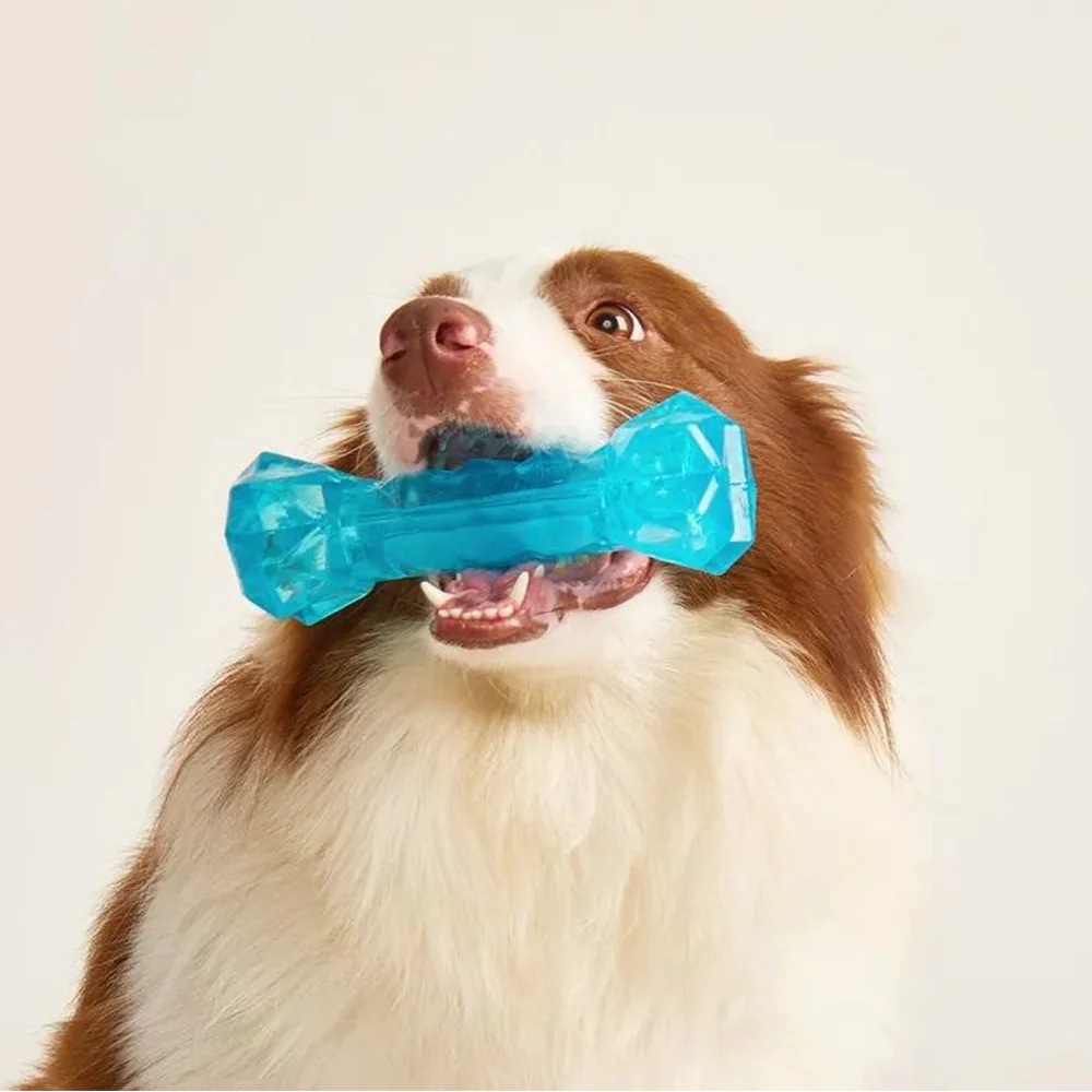 FOFOS Cooling Bone Chill & Chew Freeze TPR Dog Toy - Image 4