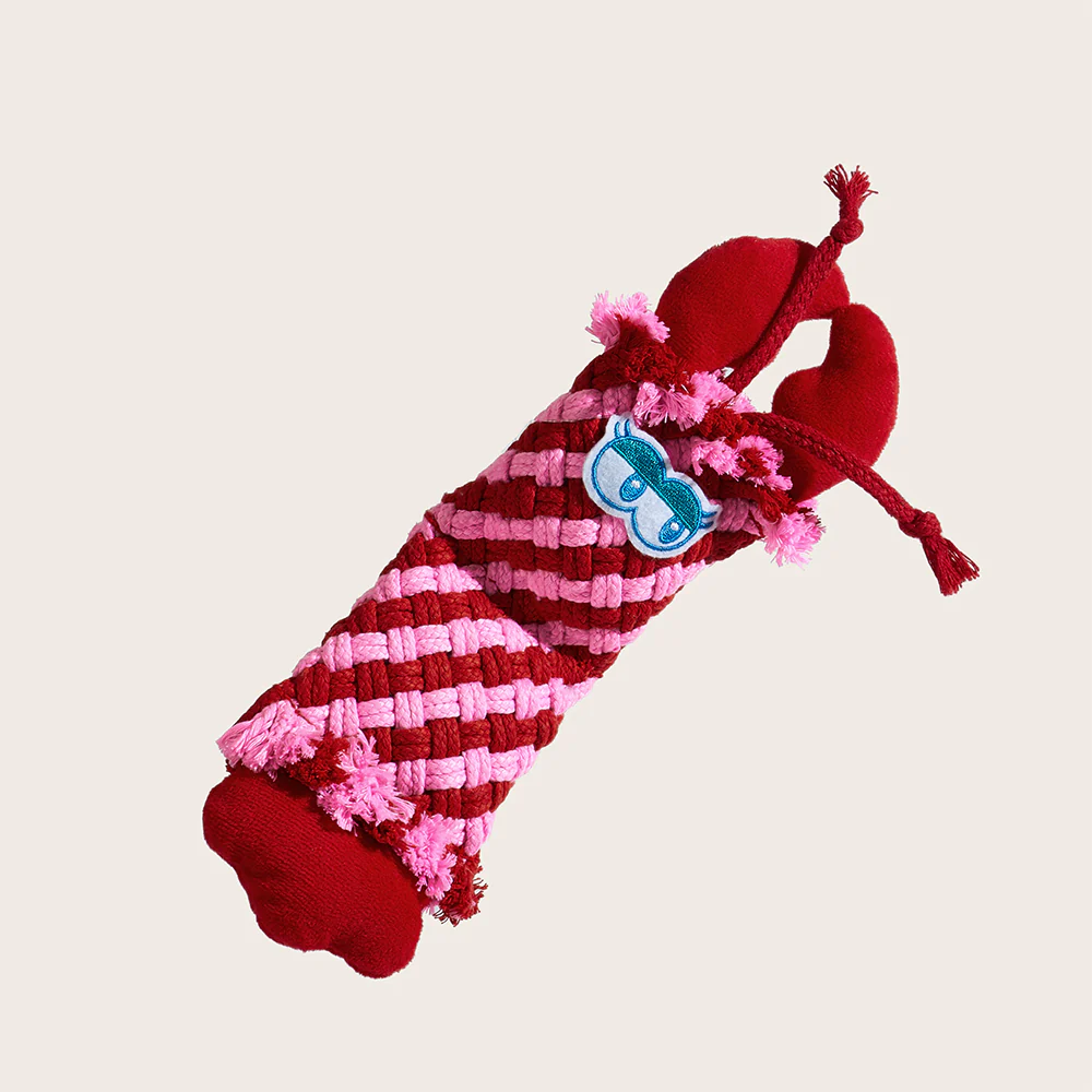 FOFOS Dog Rope Puppy Toy - Lobster - Image 2