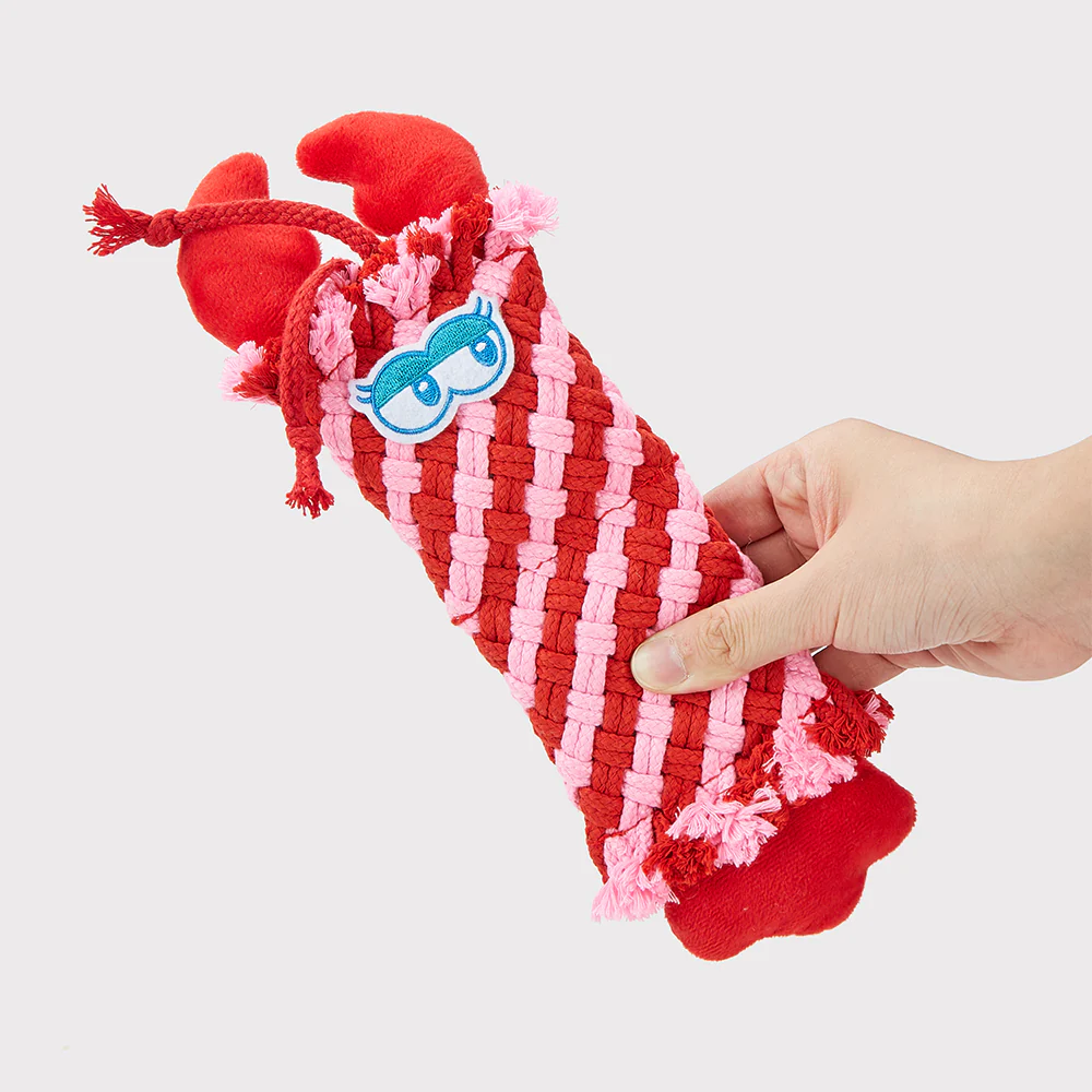FOFOS Dog Rope Puppy Toy - Lobster - Image 4