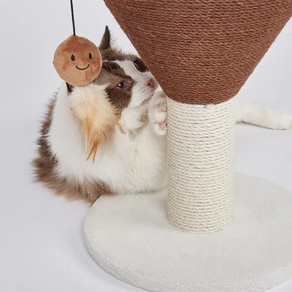 FOFOS Espresso Martini Cat Scratcher - Image 4