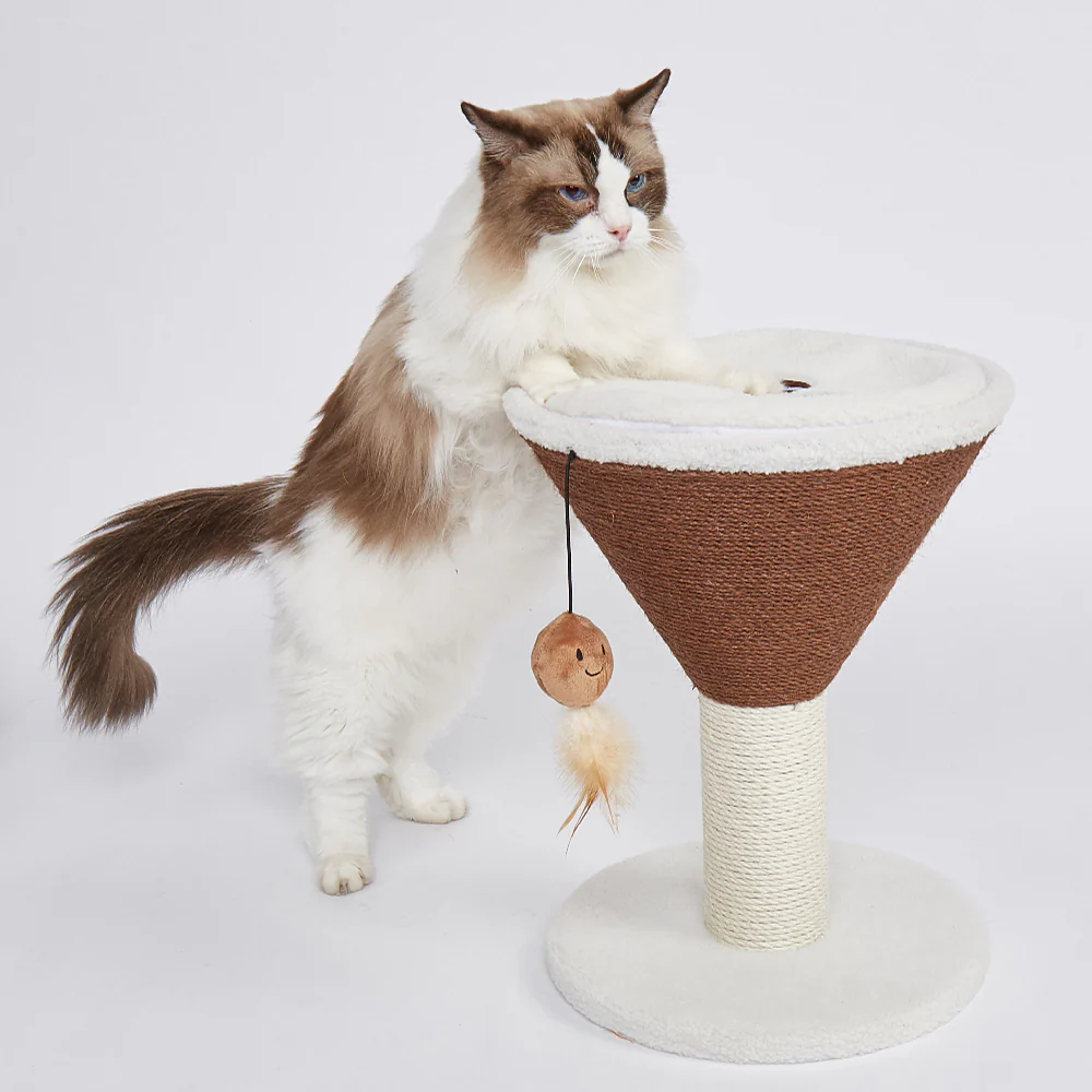 FOFOS Espresso Martini Cat Scratcher - Image 5