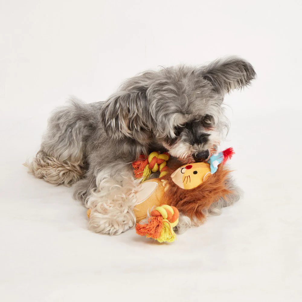 FOFOS Fluffy Lion Puppy Toy - Image 3
