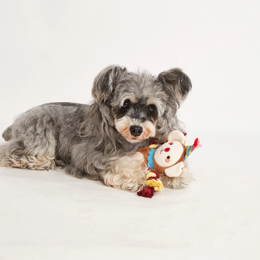FOFOS Fluffy Monkey Puppy Toy - Image 4