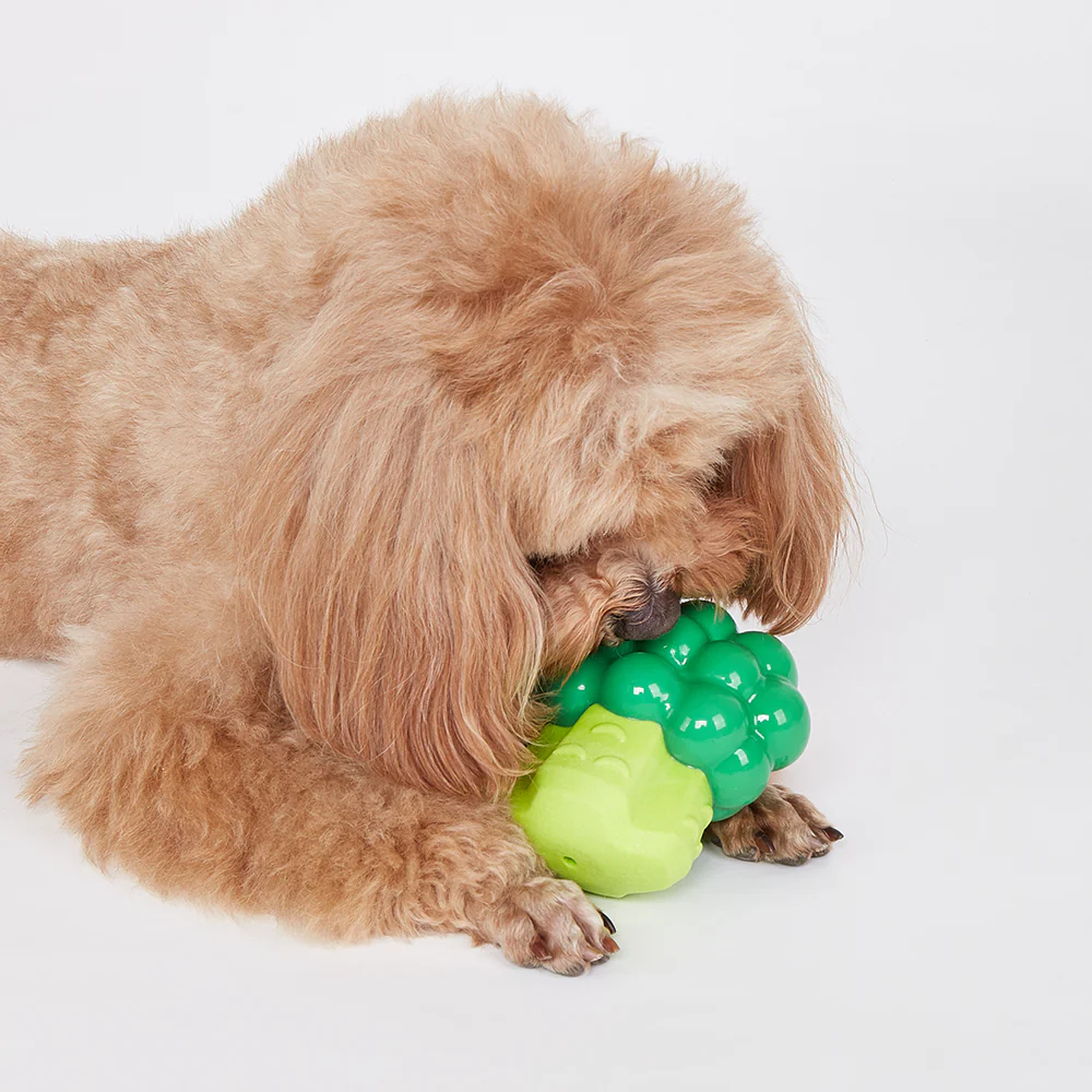 FOFOS Giggling Vegi-Bites Dog Toy - Broccoli - Image 3
