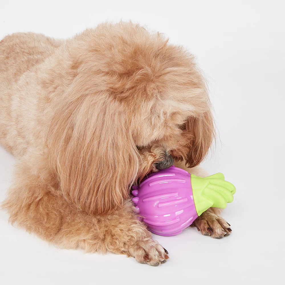 FOFOS Giggling Vegi-Bites Dog Toy - Onion - Image 3