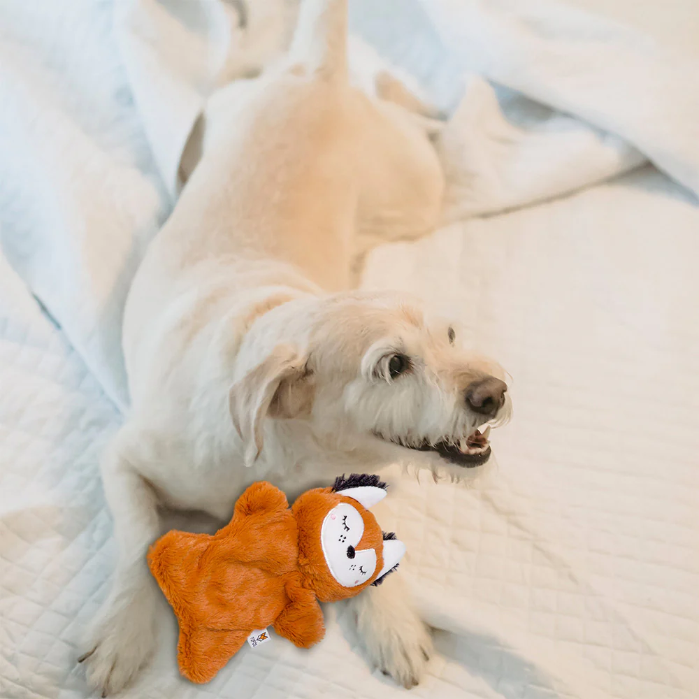 FOFOS Glove Bear Plush Crinkle Dog Toy - Image 6