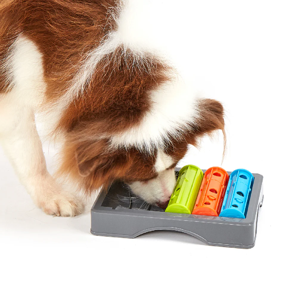 FOFOS Interactive Treat Puzzle Dog Toy - Image 2