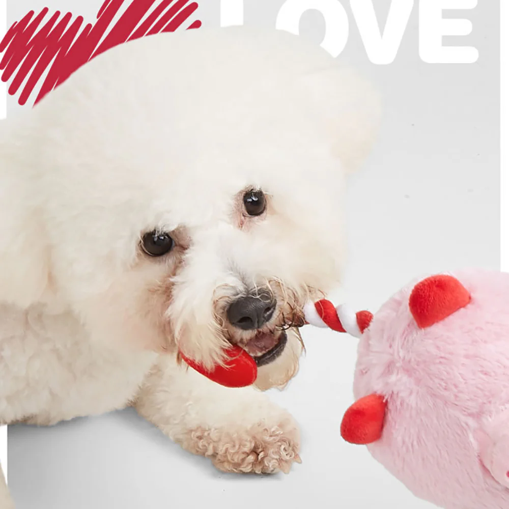 FOFOS Love Pig Plush Squeaky Dog Toy - Image 2