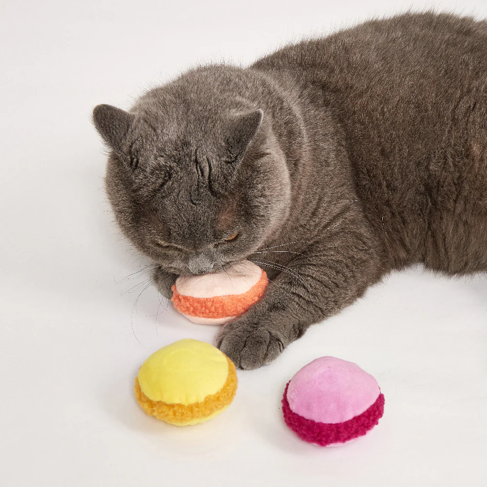 FOFOS Macaron Assorted Cat Toy 1pc - Random Color - Image 2