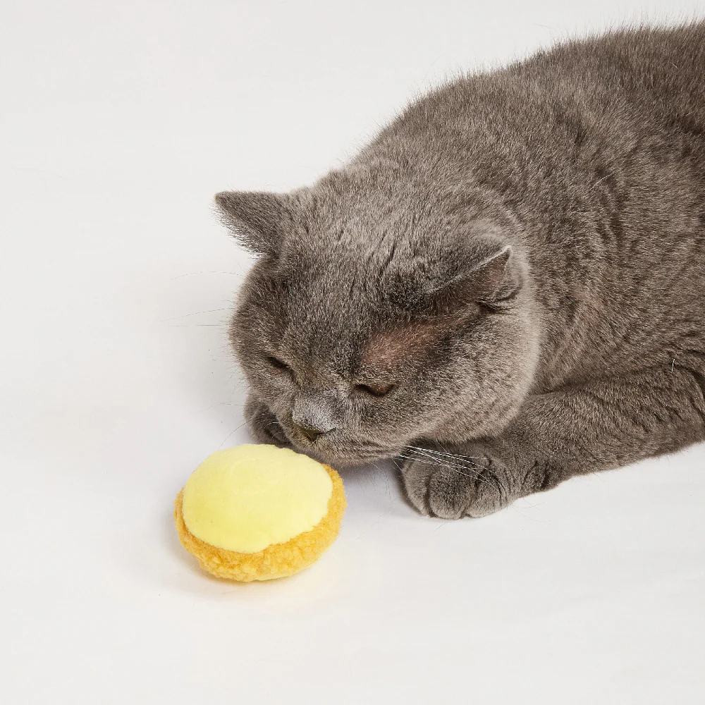 FOFOS Macaron Assorted Cat Toy 1pc - Random Color - Image 3