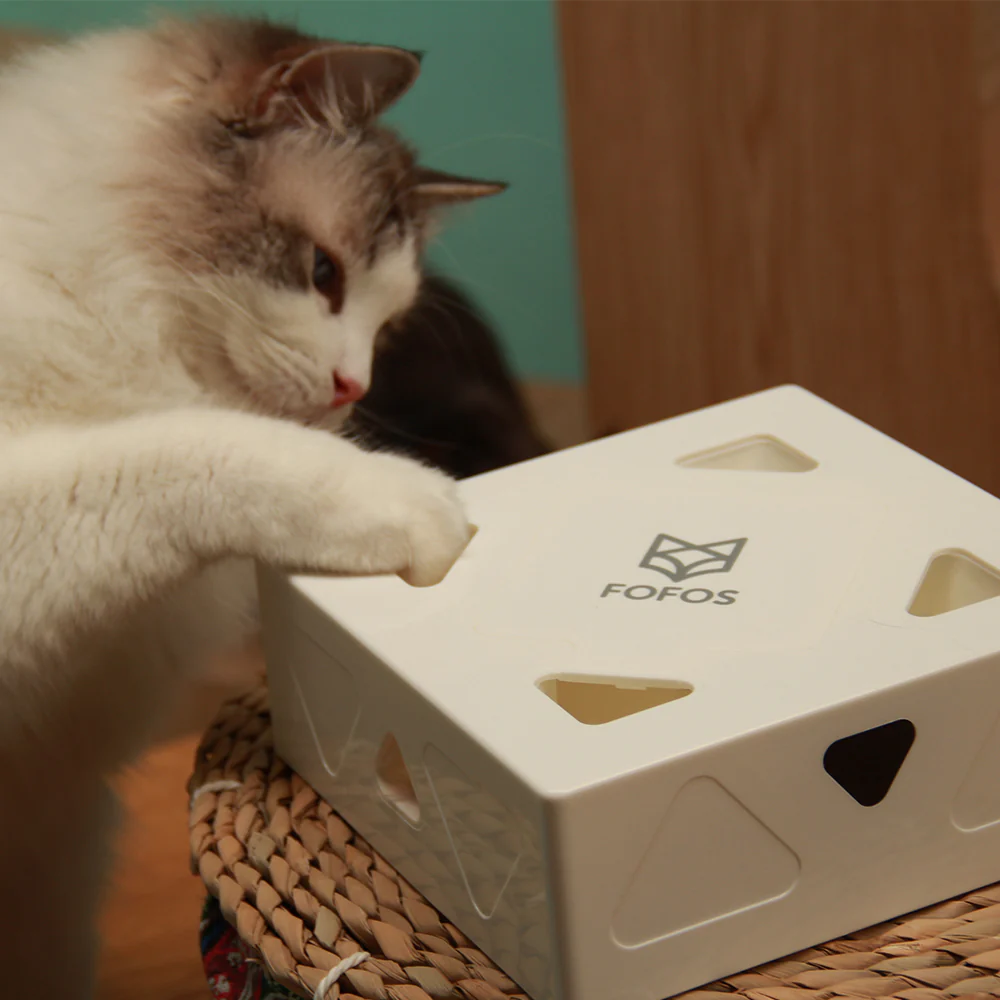 FOFOS ErratiCat Interactive PIR Cat Toy & Replacement - Image 5