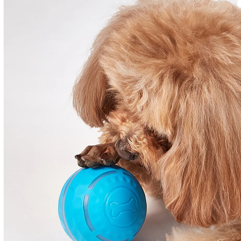 FOFOS Rolling & Flashing Interactive Ball Dog Toy - Image 3