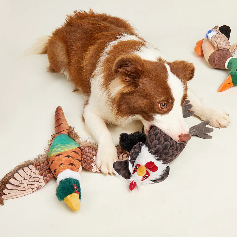FOFOS Rooster Plush Squeaky Dog Toy - Image 5