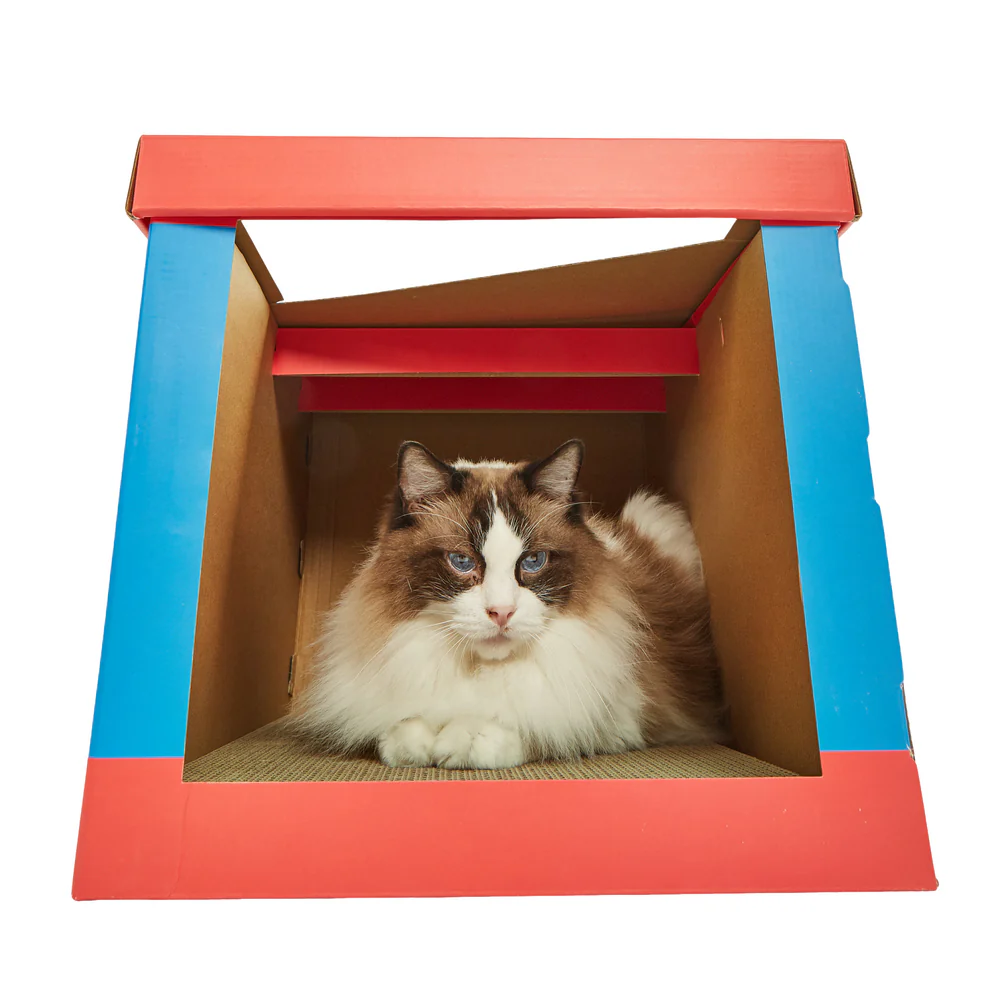 FOFOS Sardine Canned Box Cat Scratcher - Image 2