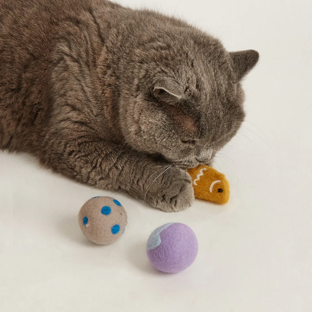 FOFOS Sardine Catnip Cat Toy - 2Balls &1Fish - Image 2