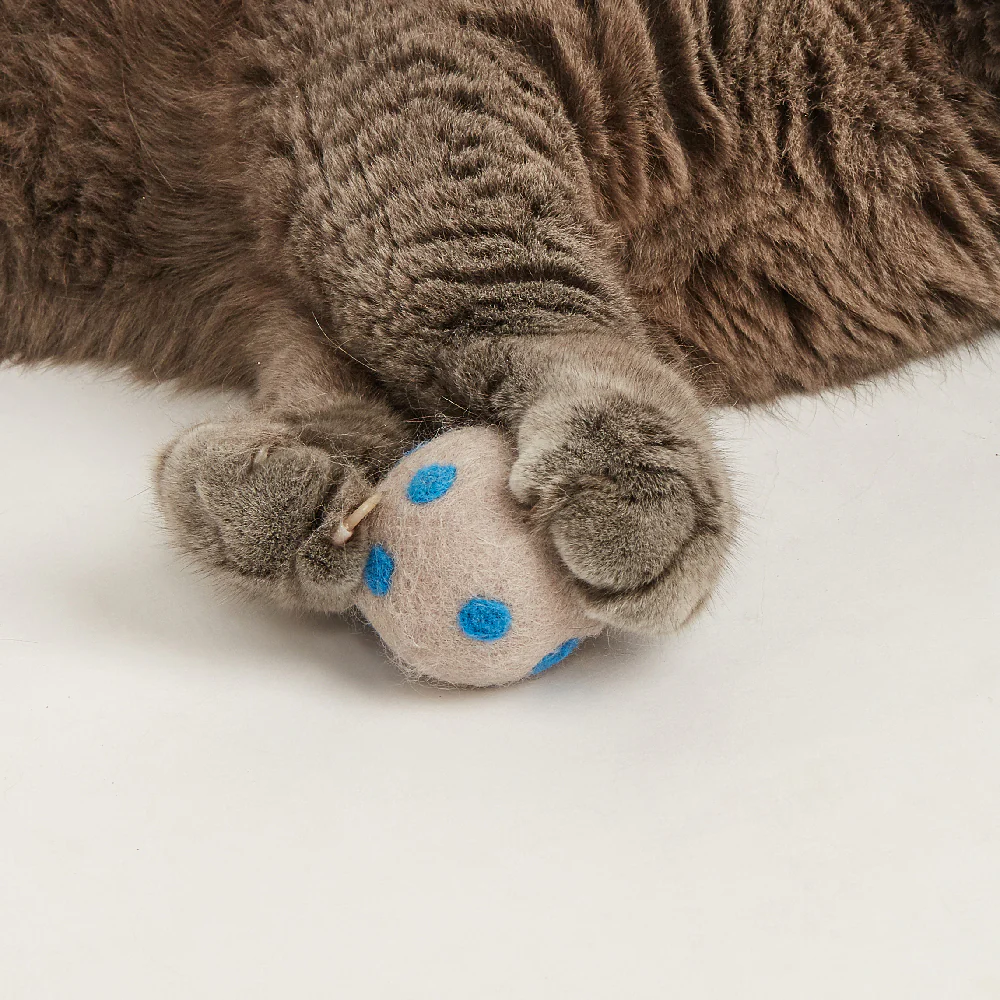 FOFOS Sardine Catnip Cat Toy - 2Balls &1Fish - Image 3