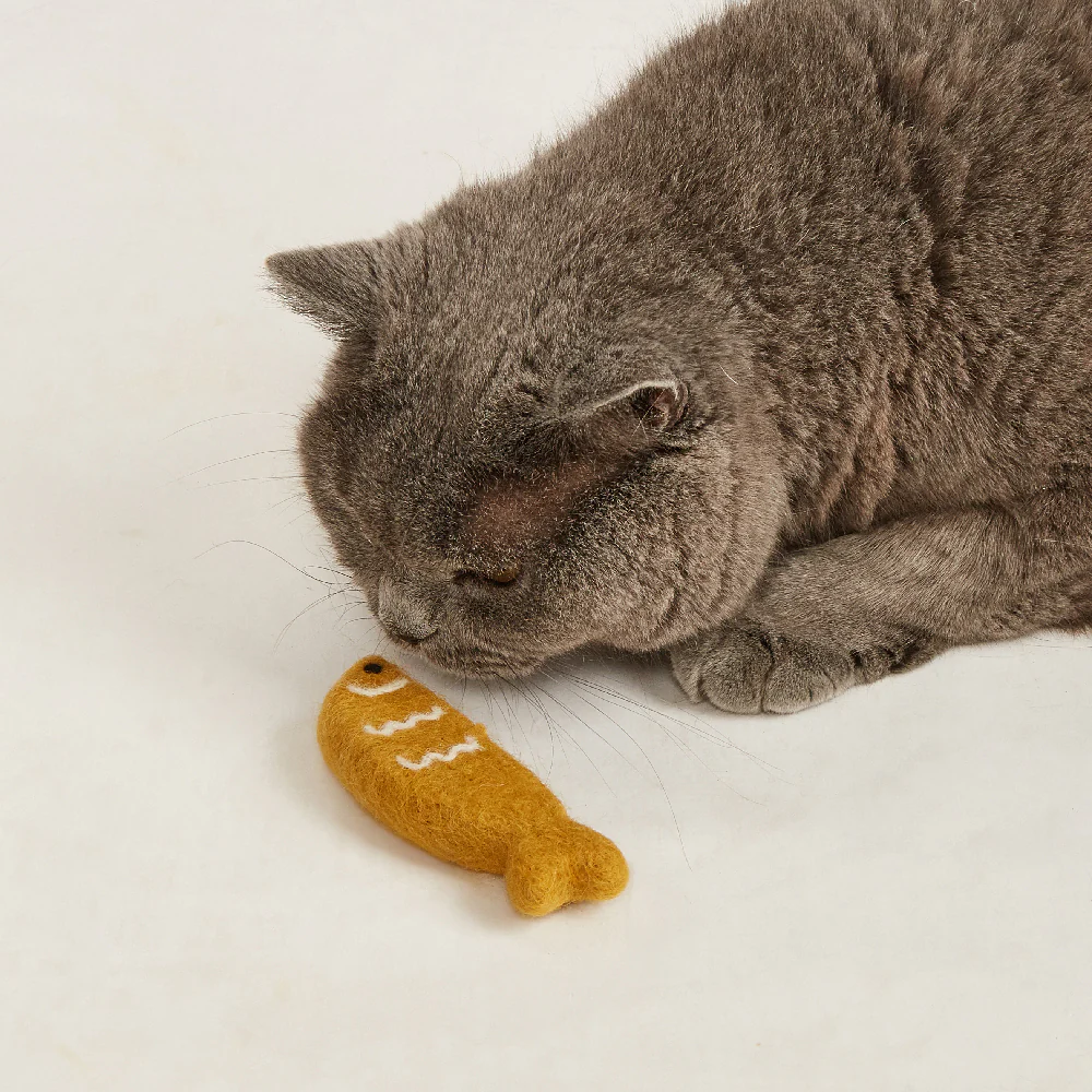 FOFOS Sardine Catnip Cat Toy - 2Balls &1Fish - Image 4