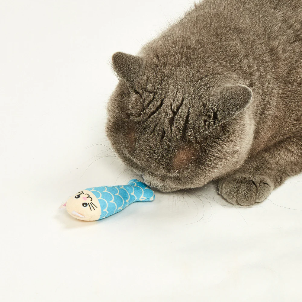 FOFOS Sardine Catnip Cat Toy - 5pcs - Image 6