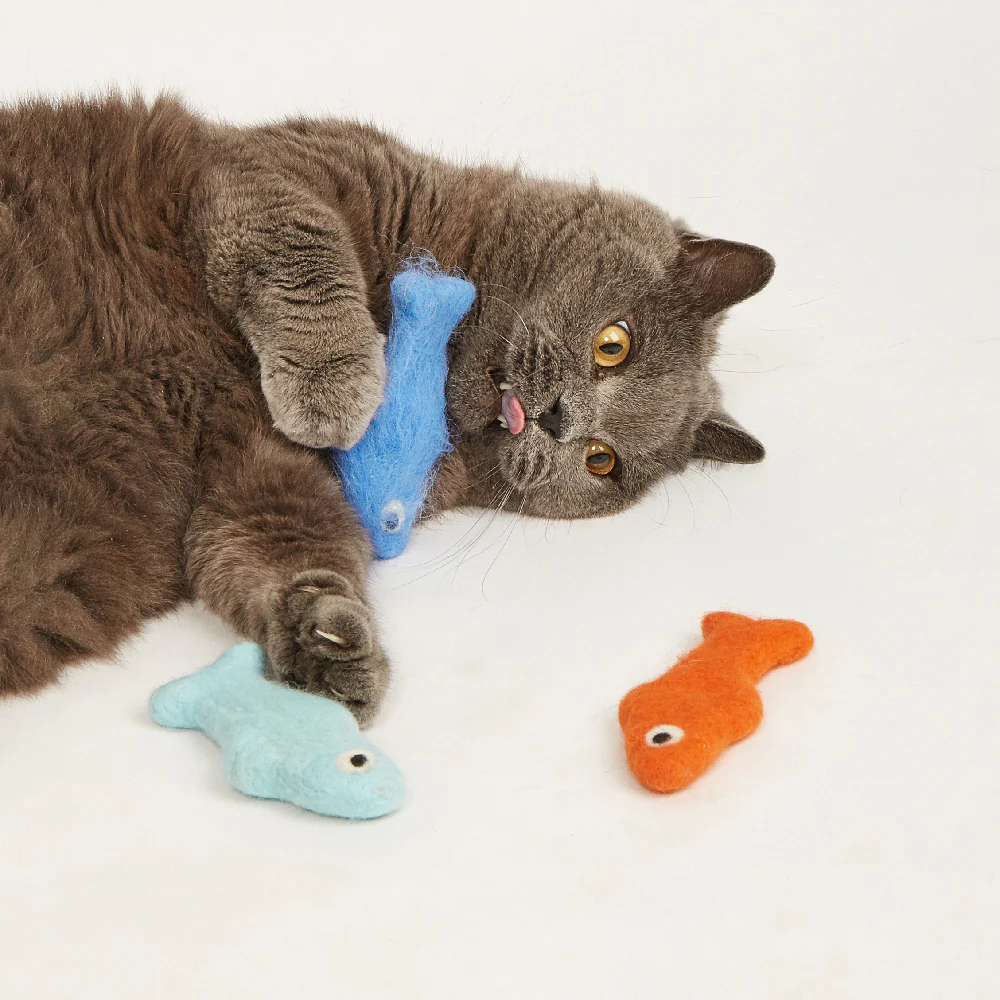 FOFOS Sardine Catnip Cat Toy - No.2 Fish 3pcs - Image 2